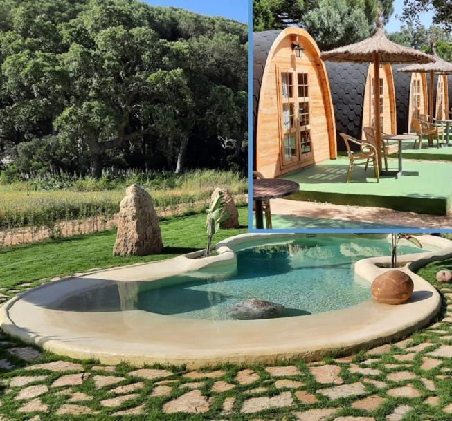 Agroturismo El Oasis De Anayansi